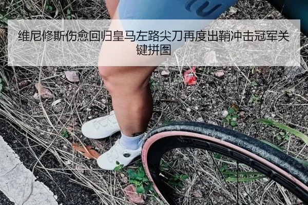 维尼修斯伤愈回归皇马左路尖刀再度出鞘冲击冠军关键拼图